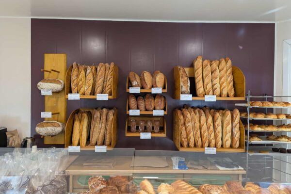 585084738_1157939353181489_5458062429331565548_n