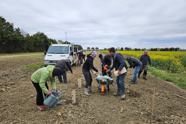 660097867_1260326266276130_4688873703764708357_n