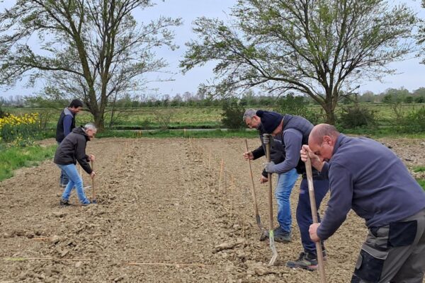 660132225_1260326362942787_4061416537865915276_n