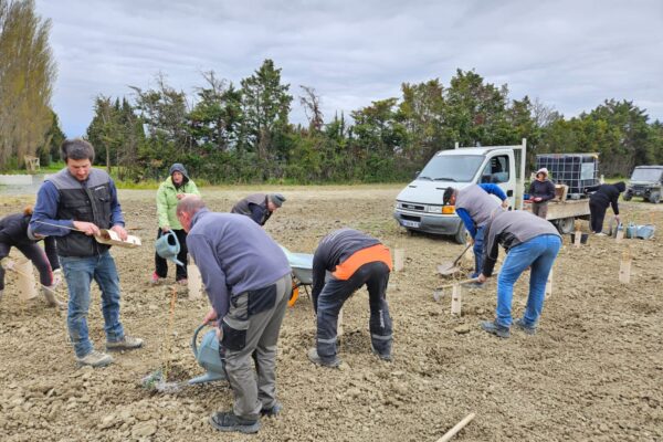 660508790_1260326586276098_4626544313327077565_n