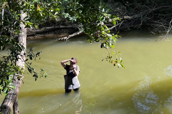 672683452_1274075598234530_5149027046927645176_n